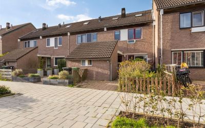 Moerbeigaar. 48