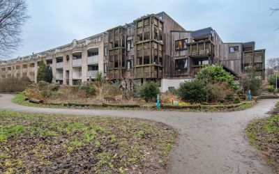 Vuurdoornpa. 64