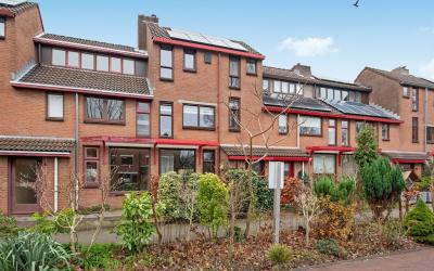 Violiervaart 8