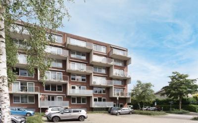 Dijkmanscha. 112