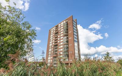 Leerbroekst. 42