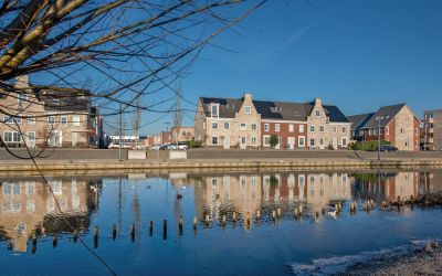 Zuidlaarder. 11