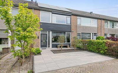 Rotterdamba. 19