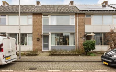 Roemer Viss. 15