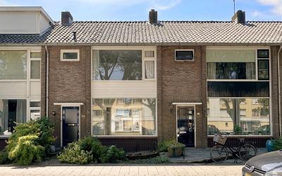 Willem de Z. 14