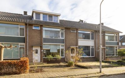 Willem de R. 37