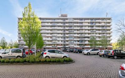 Elzenhorst 6