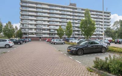 Elzenhorst 8