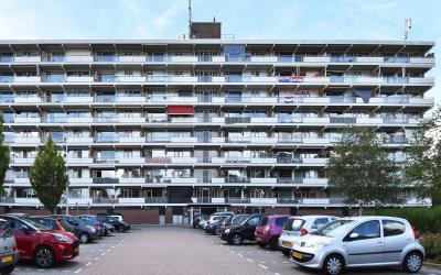 Elzenhorst 36
