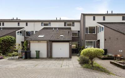 Papaverveld 13