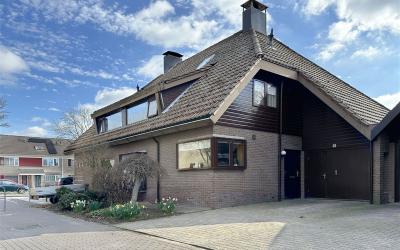 Papaverveld 61