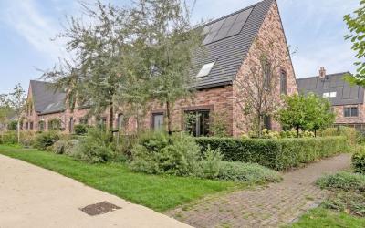 Beekforel 1