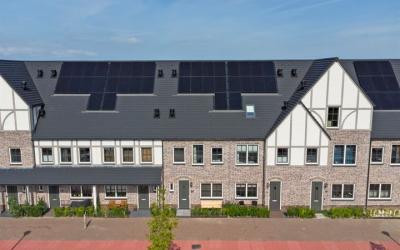 Zonnebaars 91