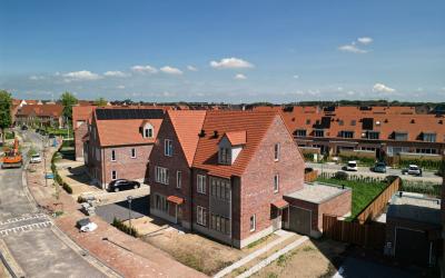 Cederhout 7