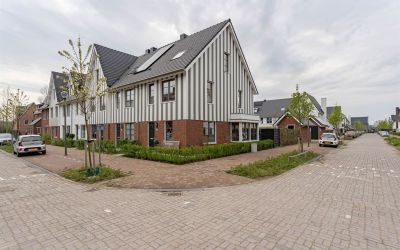 Honingbij 14