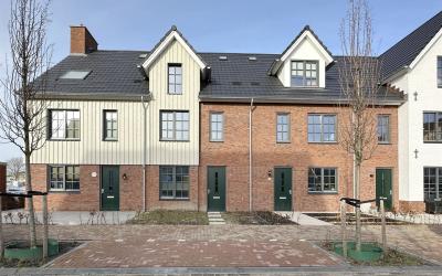 Honingbij 41
