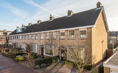 Goudsbloems. 18