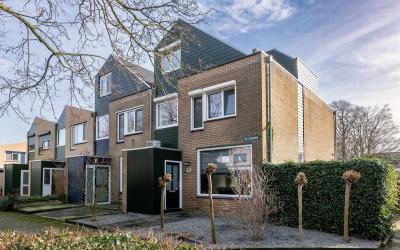 De Esdoorn 32