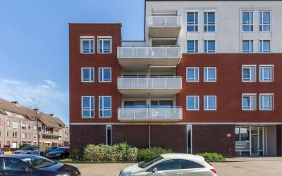 Boomgaard 235