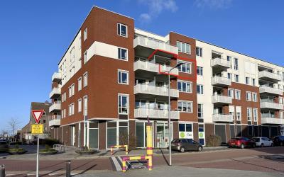 Boomgaard 245