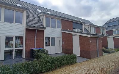 Suikerpeer 54