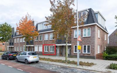 Koningin Wi. 8