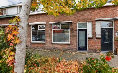 Constantijn. 36
