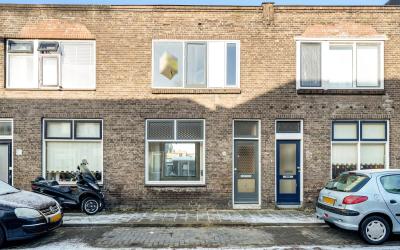 Roemer Viss. 16