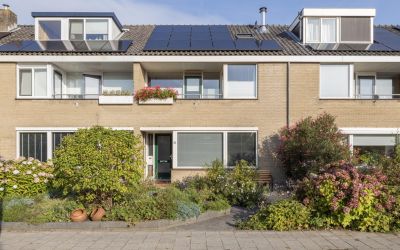 Sporkenhout. 24