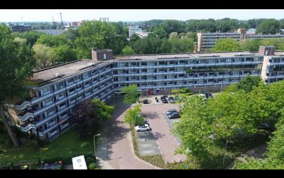 Wilde Winge. 117