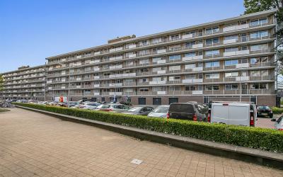 Ronsseweg 421