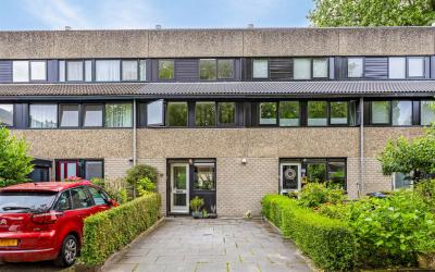 Helena Hoeve 25