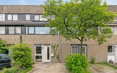 Helena Hoeve 6
