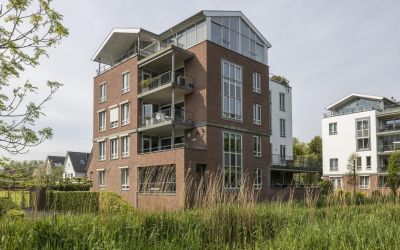 Koningsmant. 7