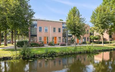 Groen van P. 3