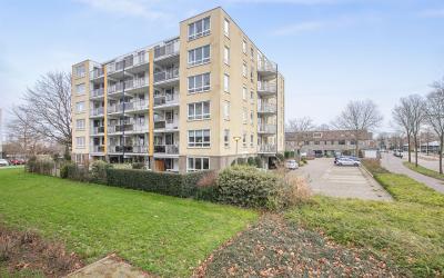 Vlietpolder. 67