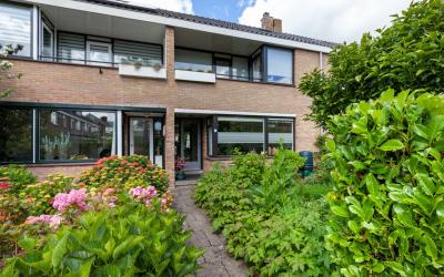Rozetuin 17