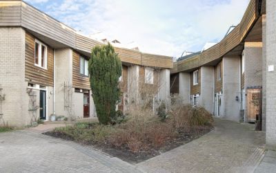 Kievitsbloem 18