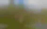 Groene Zoom 13