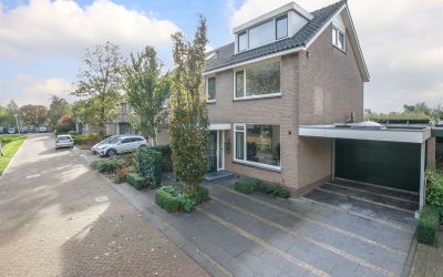 Groene Zoom 8