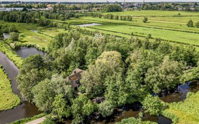 Gouderakse. 2