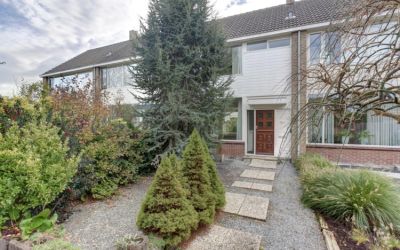 Vioolstraat 22