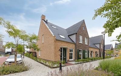 Bijenkorf 20