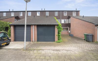 Pijlkruid 3