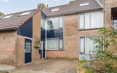 Boterbloem 10