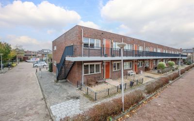 Vuurdoorn 12