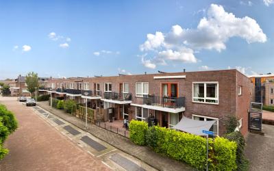 Vuurdoorn 20