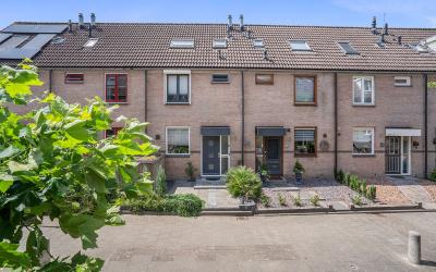 Leeuwerik 6