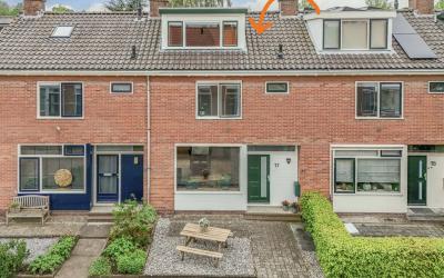 Goudenregen. 17
