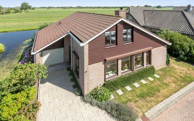 Paardebloem 19